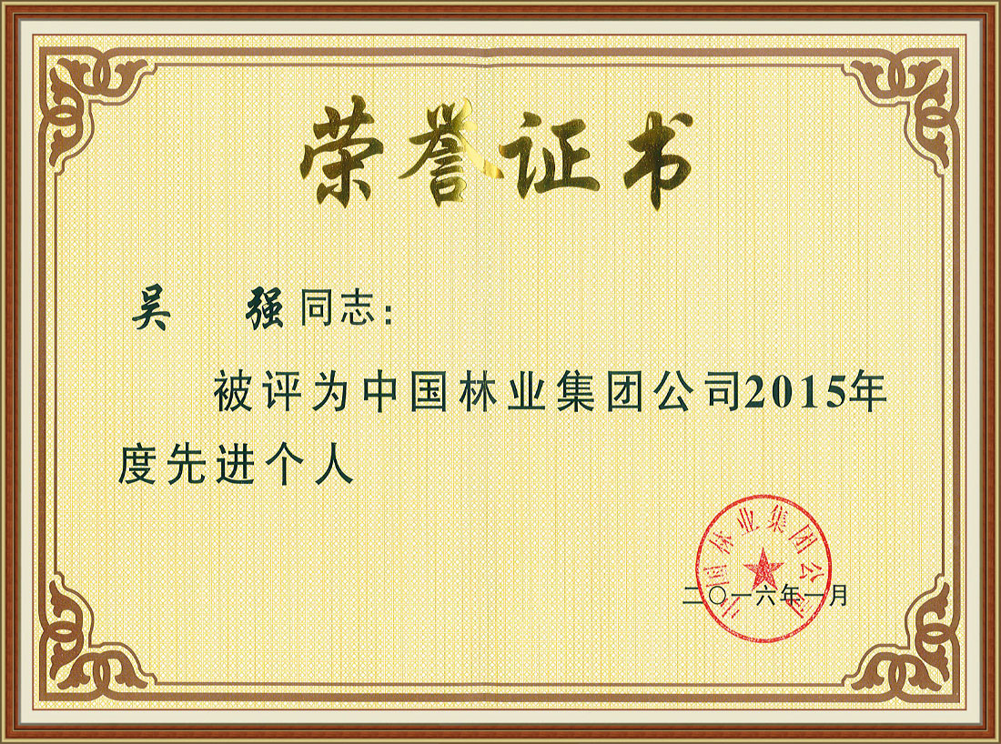 中國(guó)林業(yè)集團(tuán)公司2015年度先進(jìn)個(gè)人
